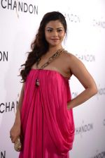 Konkana Bakshi at Moet Hennesey launch of Chandon wines made now in India in Four Seasons, Mumbai on 19th Oct 2013